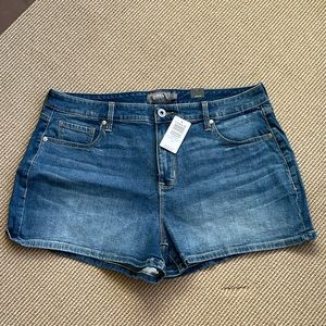 Torrid Jean Shorts